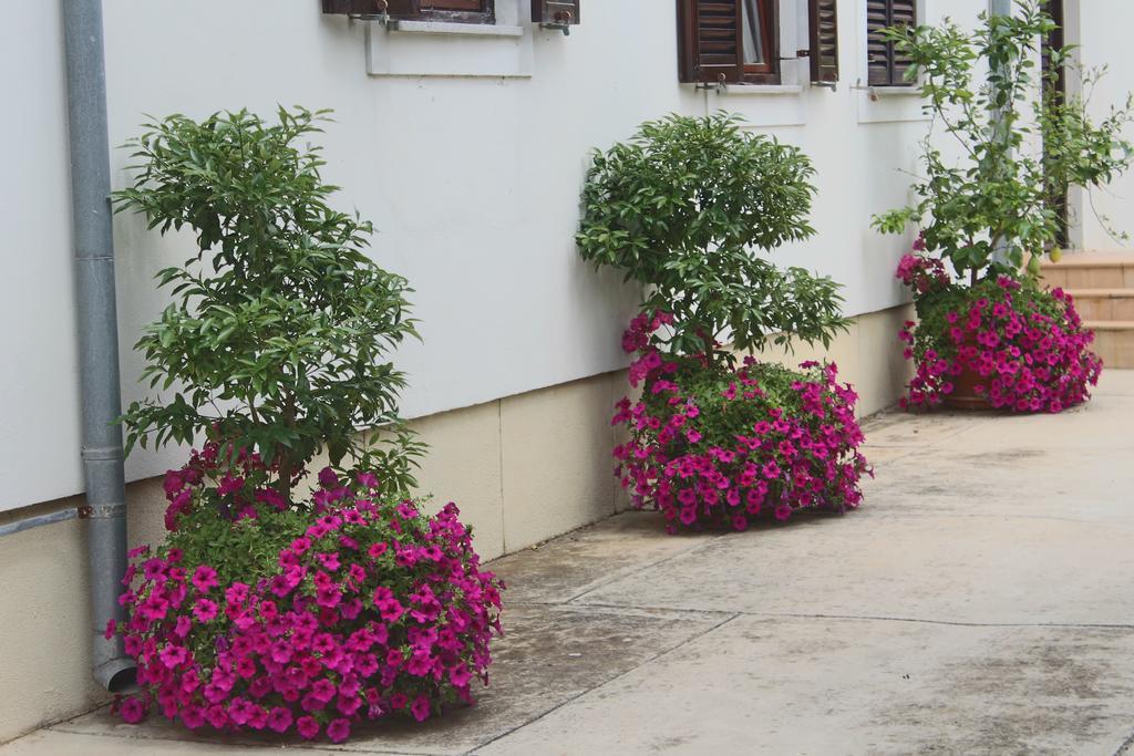 Villa Margareta Sukošan 外观 照片